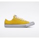 Converse Chuck Taylor All Star Shoe