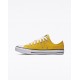 Converse Chuck Taylor All Star Shoe