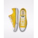 Converse Chuck Taylor All Star Shoe