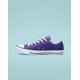 Converse Chuck Taylor All Star Shoe