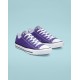 Converse Chuck Taylor All Star Shoe