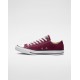 Converse Chuck Taylor All Star Shoe