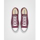 Converse Chuck Taylor All Star Shoe