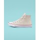 Converse Chuck Taylor All Star High Top Shoe